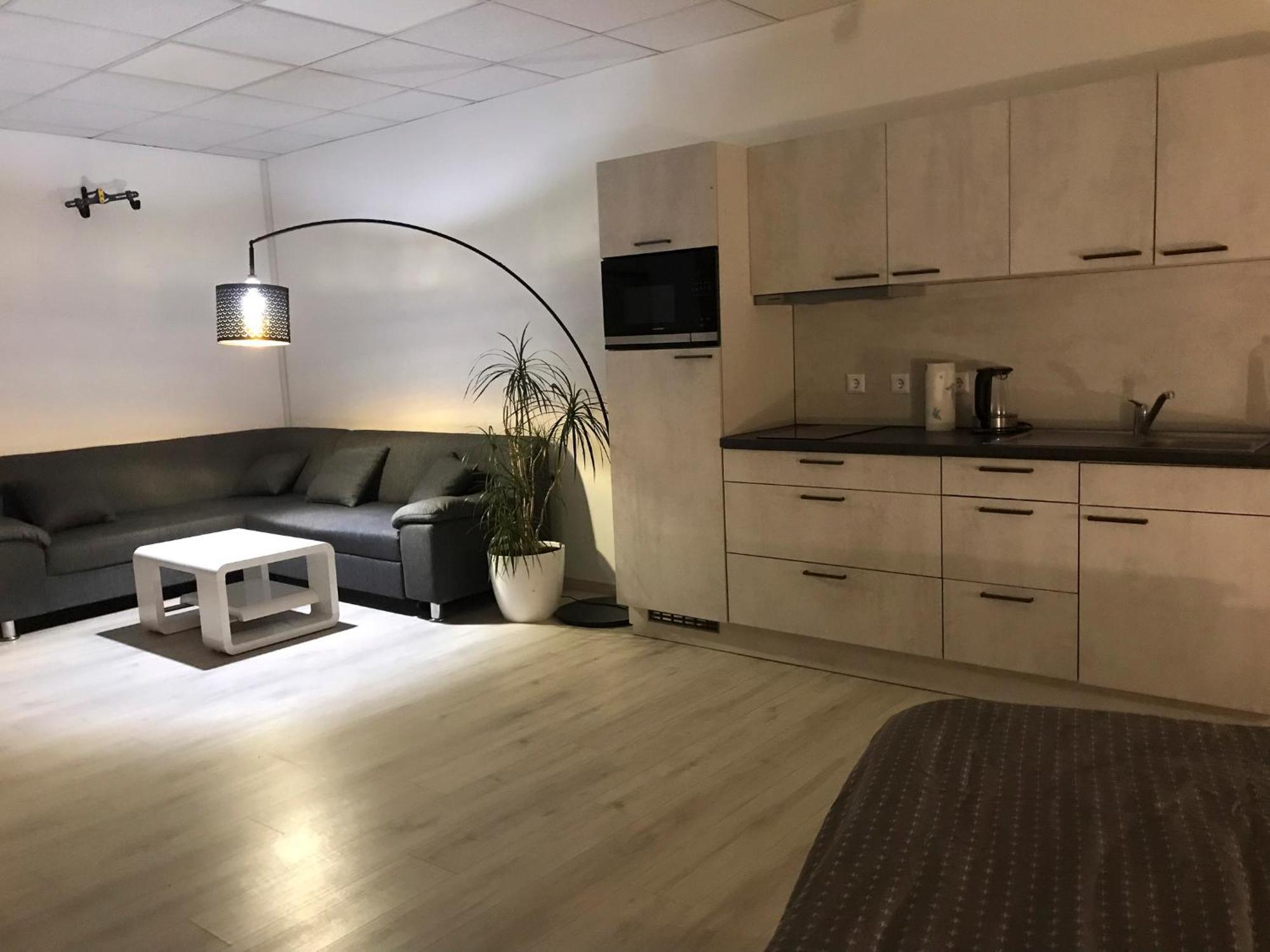 Grosse & Voll Ausgestattete Apartments, Studios, Doppelzimmer, Workspace, Parkplatz, Netflix, Prime & Schnelles Wifi In Ruhiger Lage Mit Garten Rudolstadt Esterno foto
